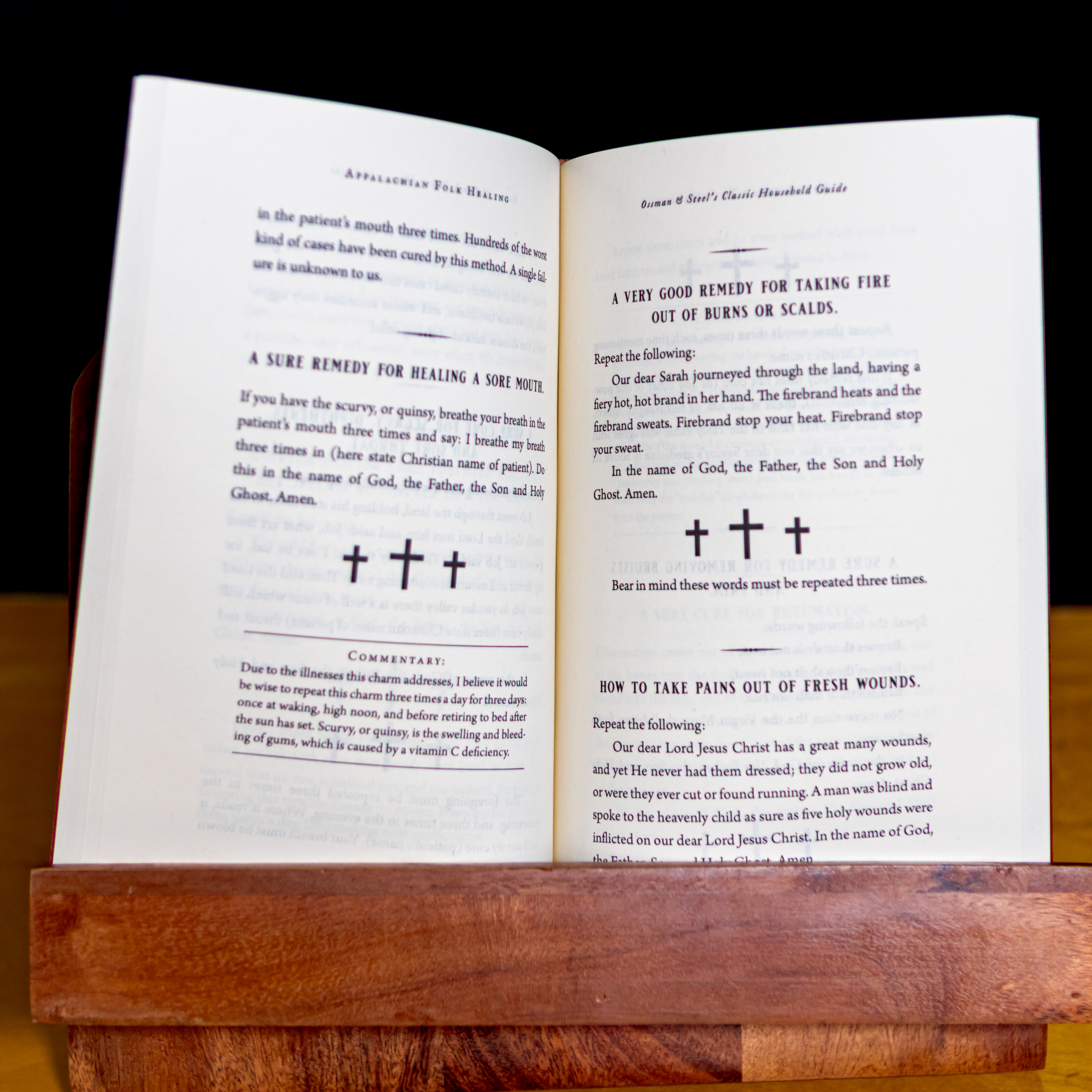 Ossman & Steel's Classic Household Guide to Appalachian Folk Healing: A Collection of Old-Time Remedies, Charms, and Spells - Image 4