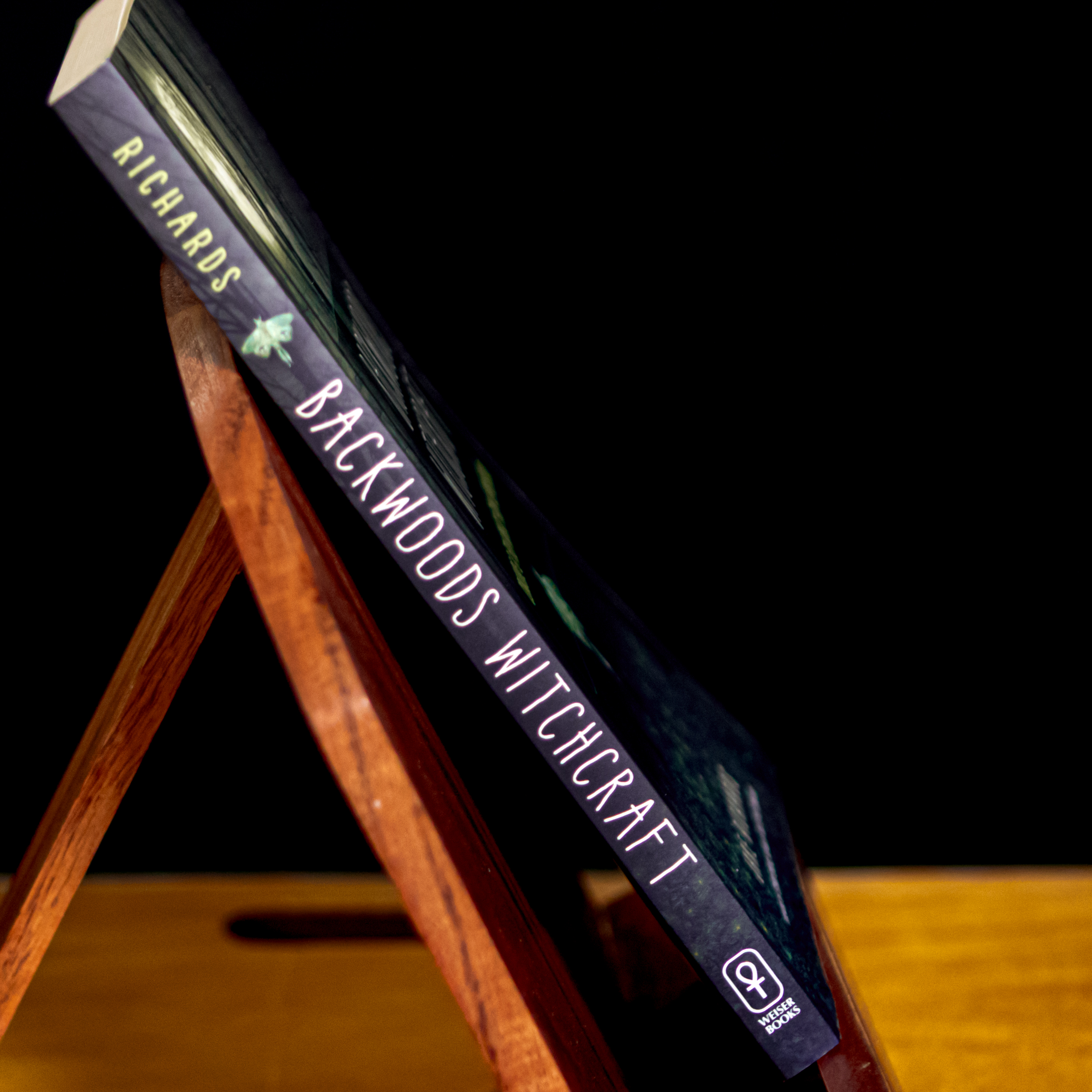 Backwoods Witchcraft: Conjure & Folk Magic from Appalachia - Image 3