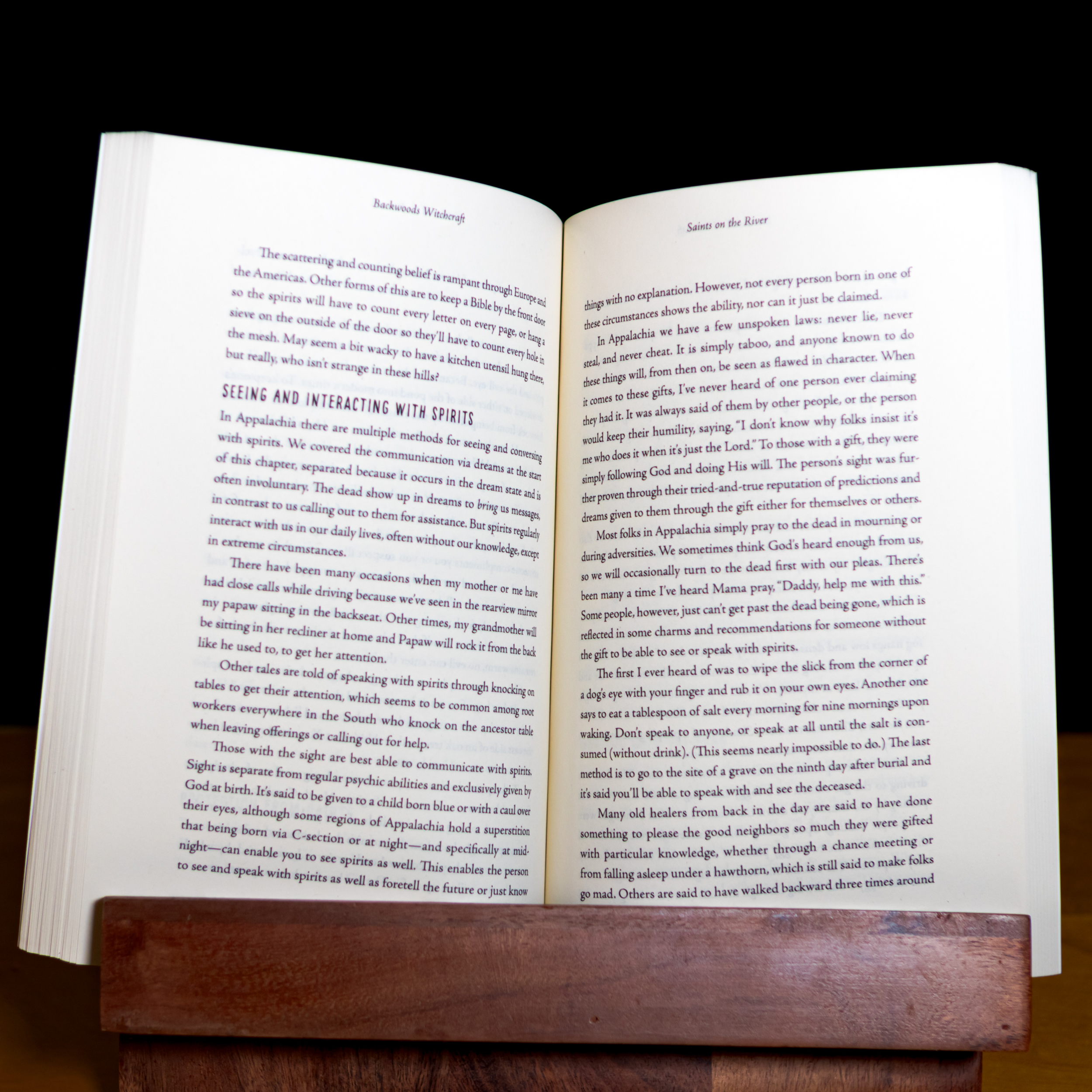 Backwoods Witchcraft: Conjure & Folk Magic from Appalachia - Image 4