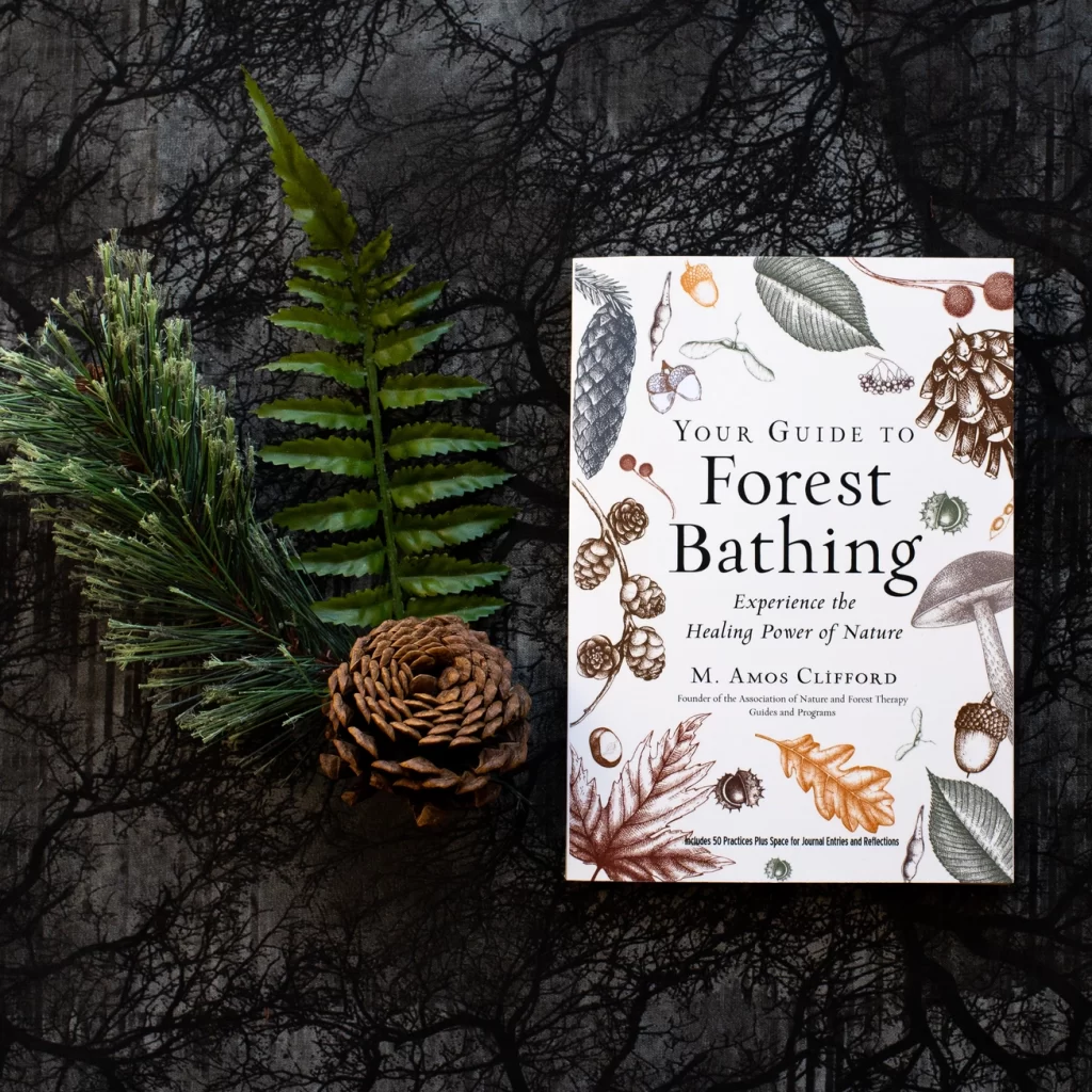 Your Guide to Forest Bathing