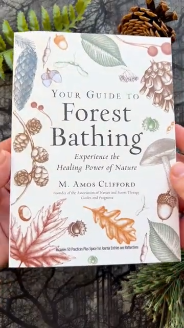 Your Guide to Forest Bathing - Image 3